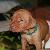 Dasher - 2.5 weeks
