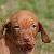 Athena - 4 weeks