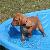 Athena - 4 weeks