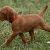 Athena - 5 weeks